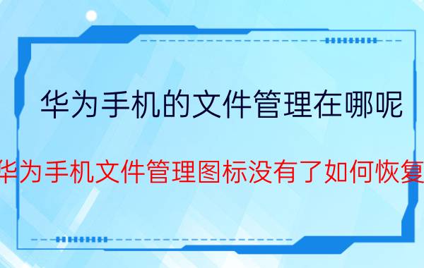 华为手机的文件管理在哪呢 华为手机文件管理图标没有了如何恢复？